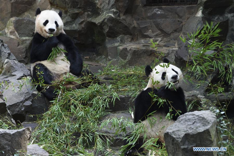 #CHINA-NATURE-ANIMAL (CN)