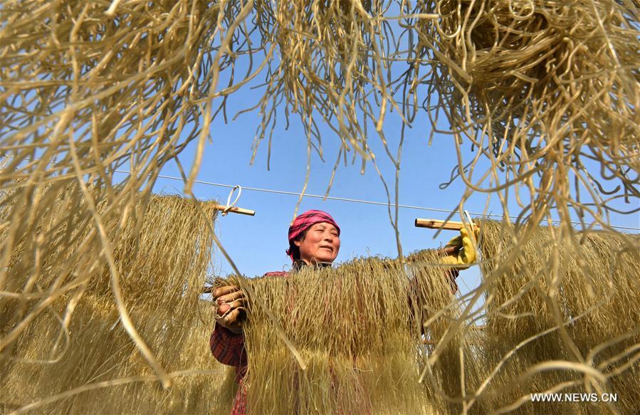 #CHINA-SHANDONG-VERMICELLI PRODUCTION (CN)