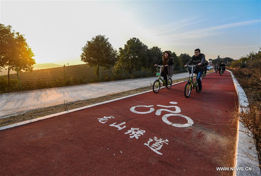 CHINA-RURAL WORK-ROADS(CN)