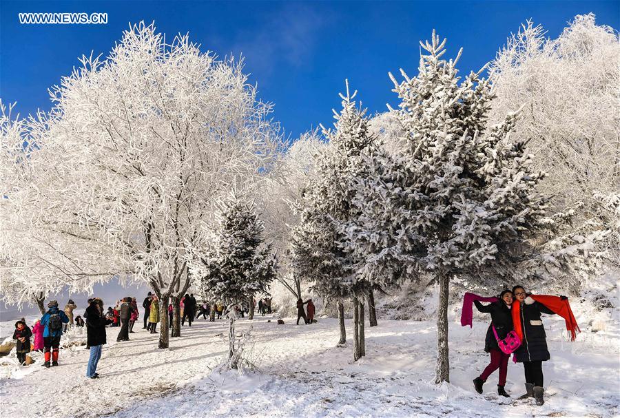 CHINA-JILIN-RIME (CN)