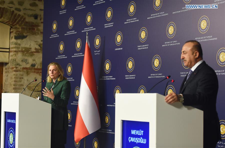 TURKEY-ISTANBUL-TURKEY-AUSTRIA-FMS-PRESS CONFERENCE