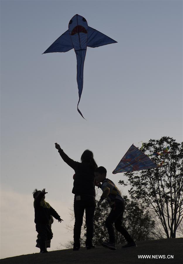 CHINA-SPRING-KITE (CN)