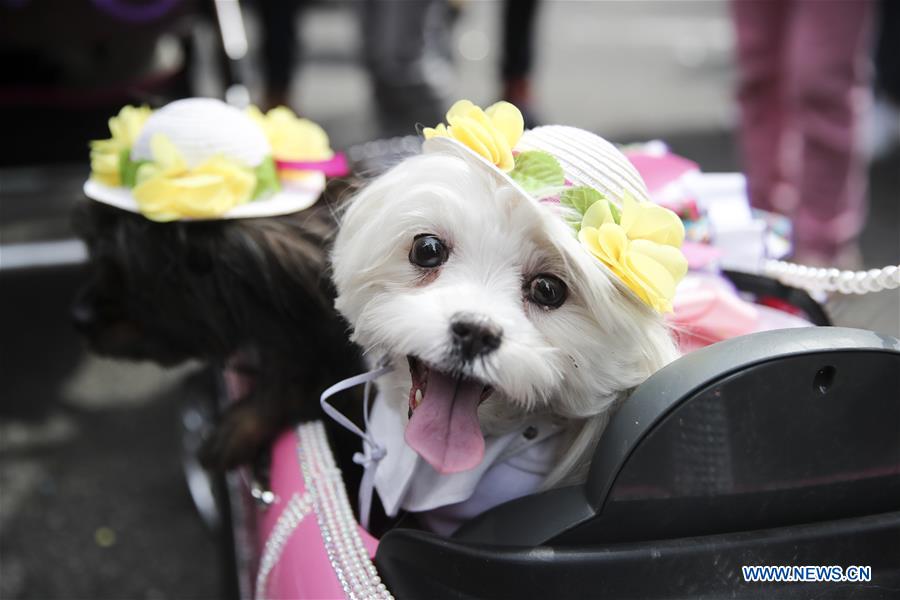 U.S.-NEW YORK-EASTER-BONNET-PARADE