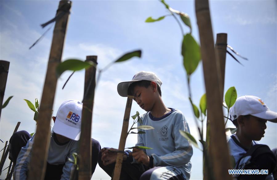 INDONESIA-JAKARTA-MANGROVES TREES-PLANTING