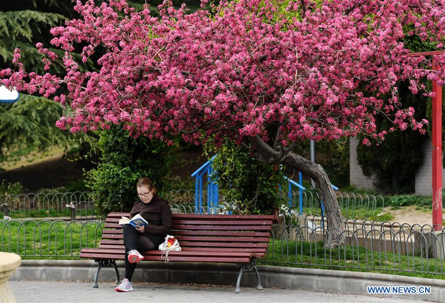 SPAIN-MADRID-WORLD BOOK DAY