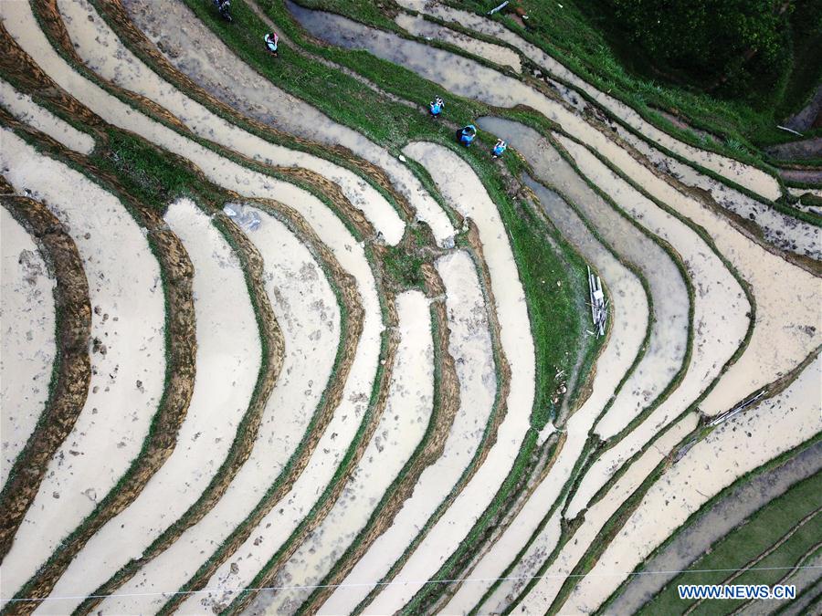 CHINA-GUIZHOU-RONGJIANG-TERRACE SCENERY (CN)