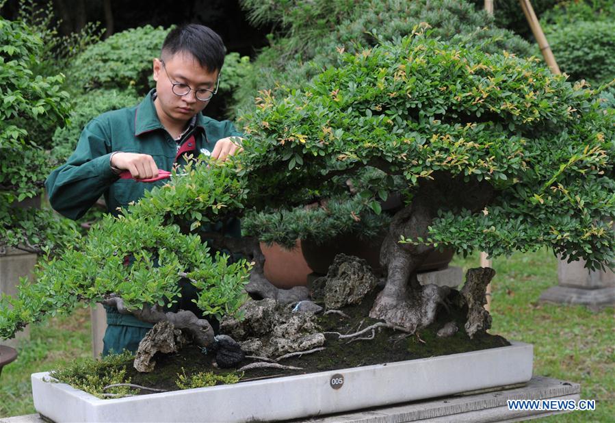 #CHINA-JIANGSU-SUZHOU-POTTED LANDSCAPE (CN)