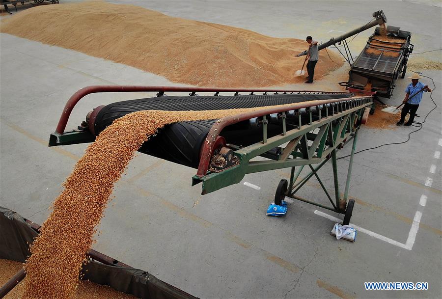 CHINA-HENAN-ZHOUKOU-WHEAT-HARVEST (CN)