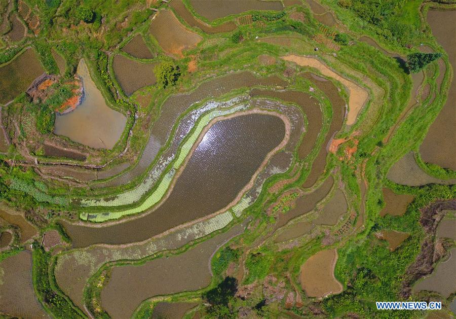 CHINA-GUANGXI-RONGSHUI-TERRACE FIELDS (CN)