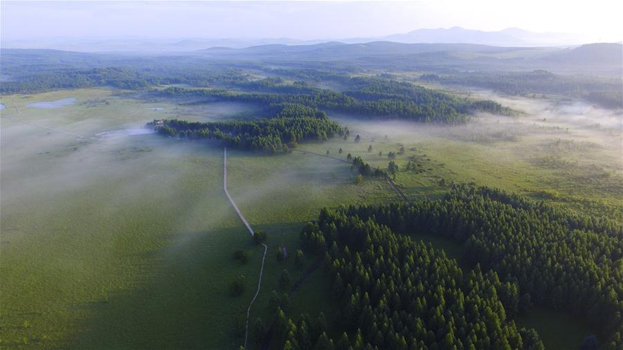 #CHINA-HEBEI-SAIHANBA-AFFORESTATION (CN)