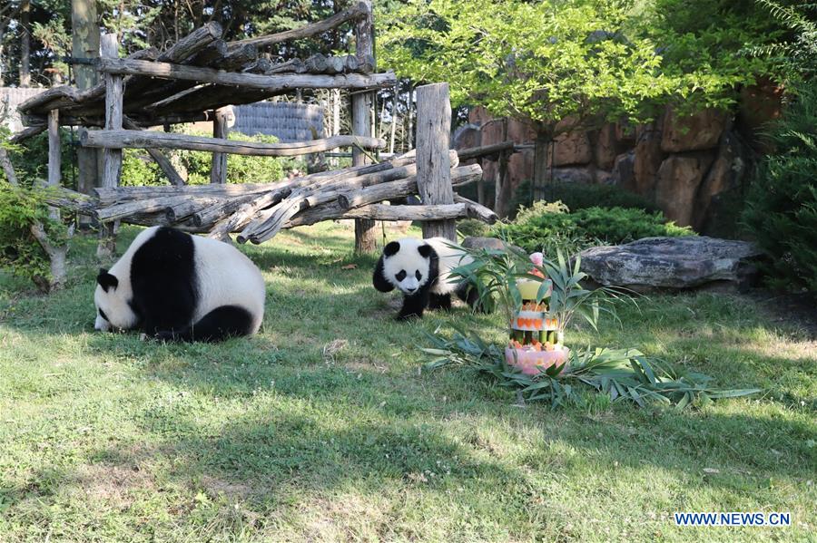 FRANCE-SAINT-AIGNAN-PANDA-ANNIVERSARY