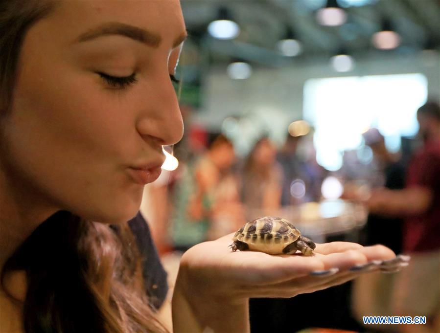 U.S.-LOS ANGELES-REPTILE SHOW