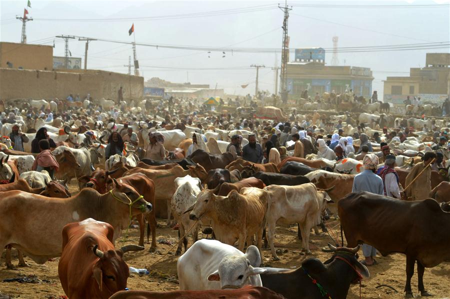 PAKISTAN-QUETTA-EID AL-ADHA-LIVESTOCK MARKET