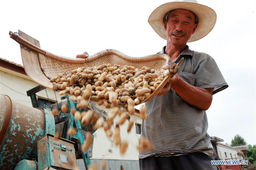 #CHINA-AUTUMN-FARMWORK (CN)