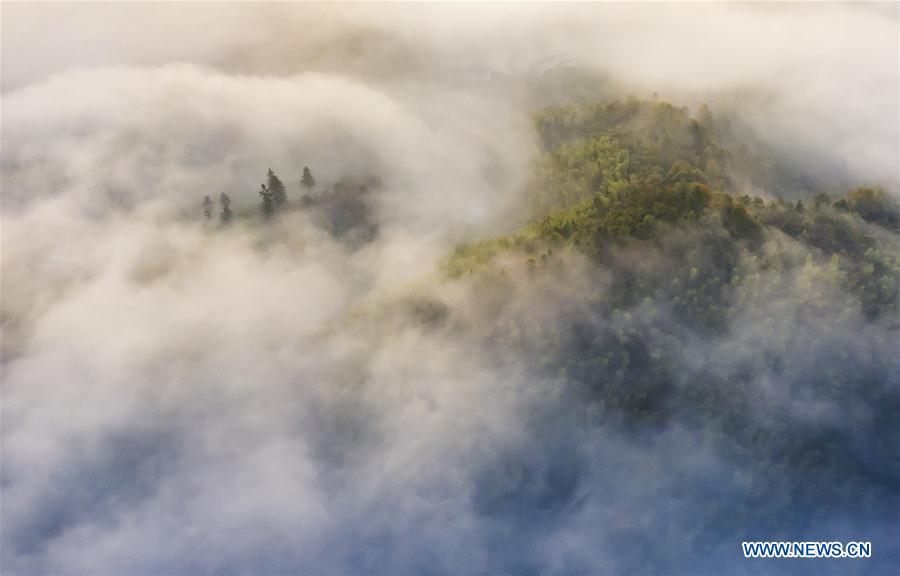 #CHINA-ANHUI-DABIESHAN MOUNTAIN-SCENERY (CN)