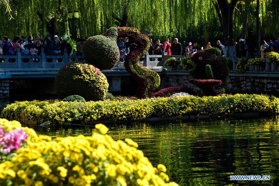 CHINA-SHANDONG-JINAN-CHRYSANTHEMUM(CN)