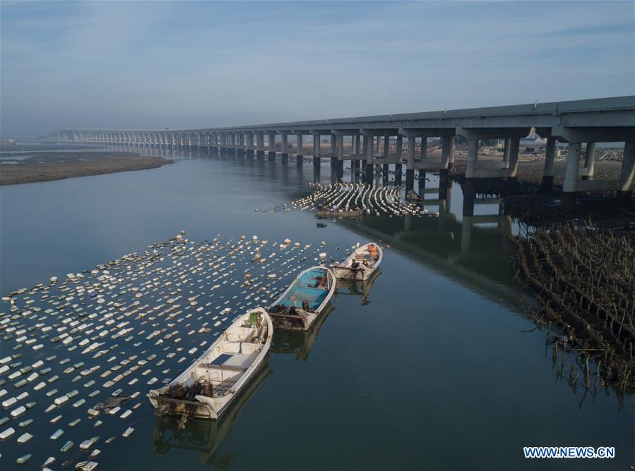 CHINA-FUJIAN-ZHANGPU COUNTY-CROSS-SEA BRIDGE (CN)