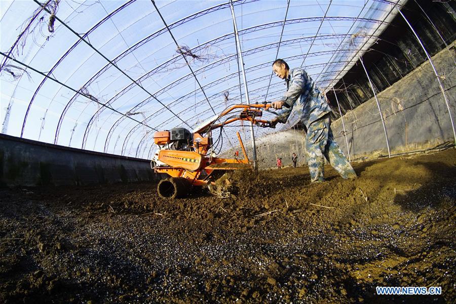 #CHINA-WINTER-ARGRICULTURE-GREENHOUSE (CN)