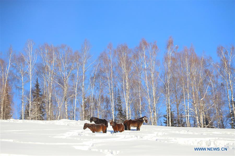 CHINA-XINJIANG-KANAS-WINTER VIEW (CN)