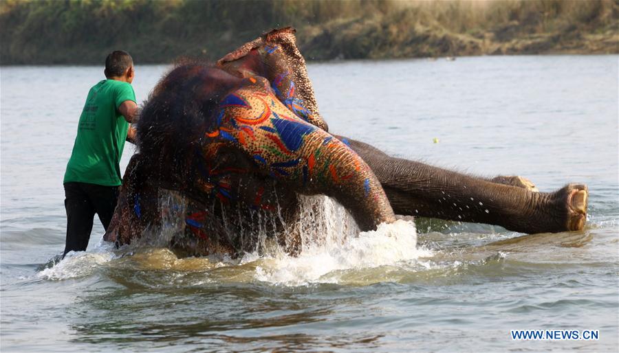 NEPAL-CHITWAN-ELEPHANT FESTIVAL