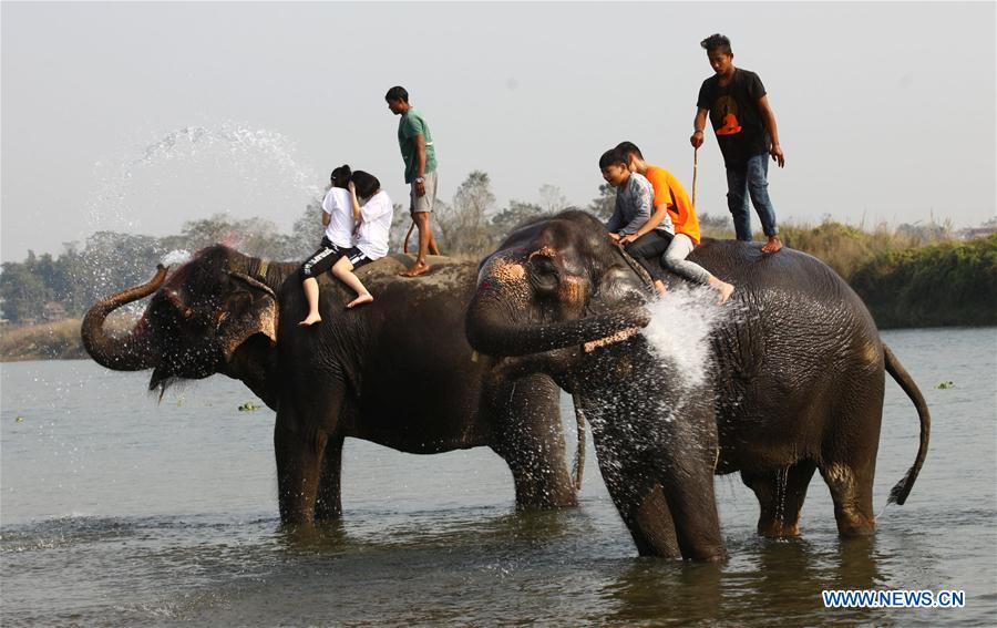 NEPAL-CHITWAN-ELEPHANT FESTIVAL