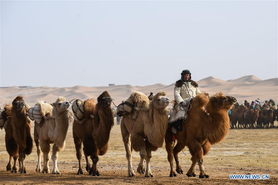 CHINA-INNER MONGOLIA-CAMEL NADAM (CN)