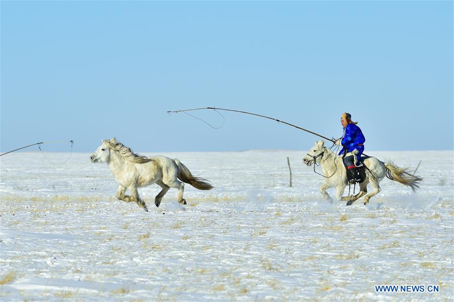 CHINA-INNER MONGOLIA-LASSOING (CN)