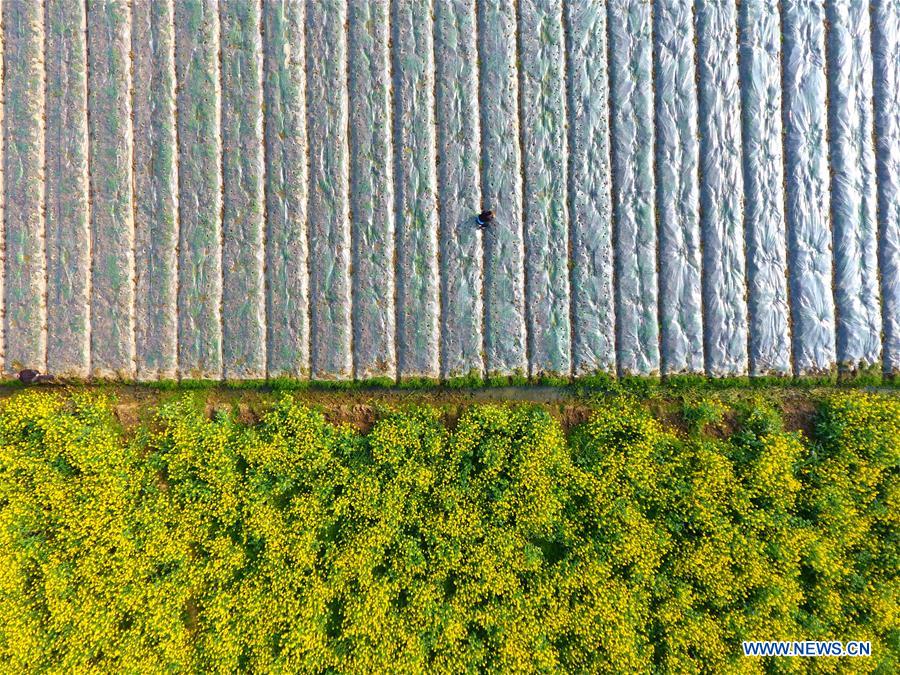 #CHINA-SPRING-FARMING (CN)