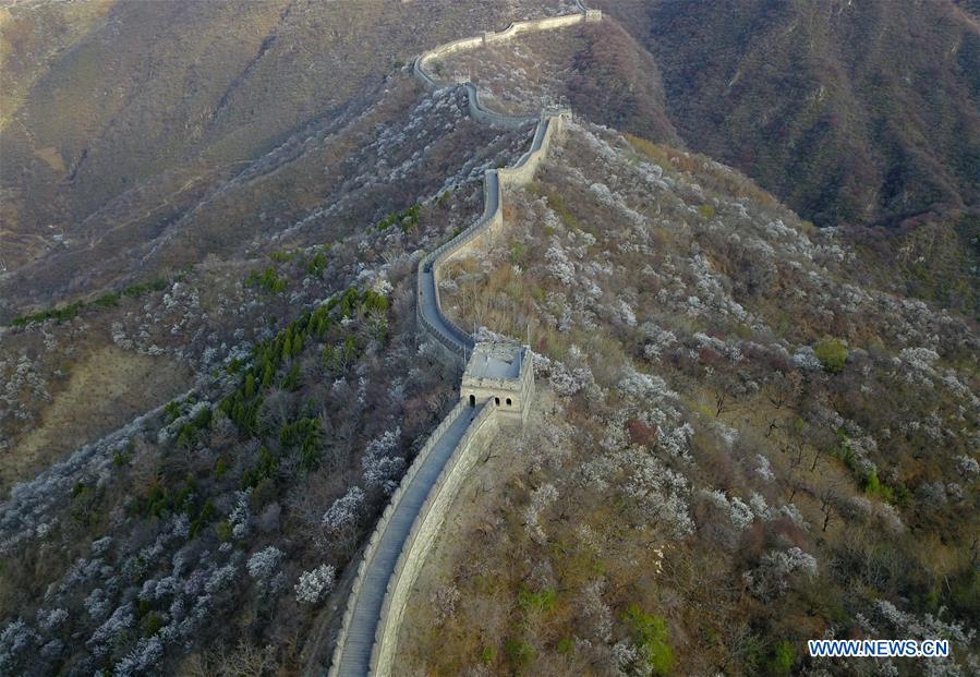 CHINA-BEIJING-GREAT WALL-SCENERY (CN)