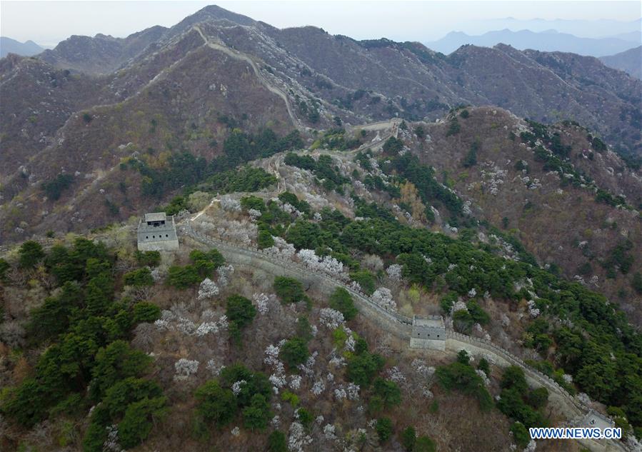 CHINA-BEIJING-GREAT WALL-SCENERY (CN)