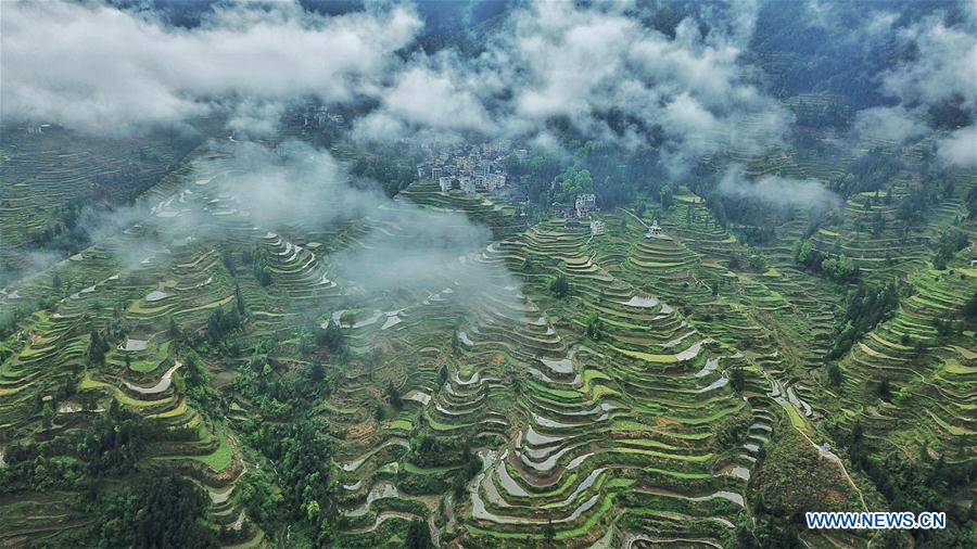 CHINA-GUIZHOU-LIPING-TERRACED FIELDS (CN)