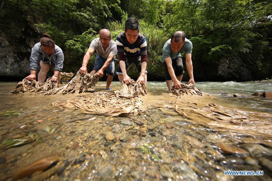 #CHINA-GUIZHOU-TRADITIONAL PAPERMAKING (CN)