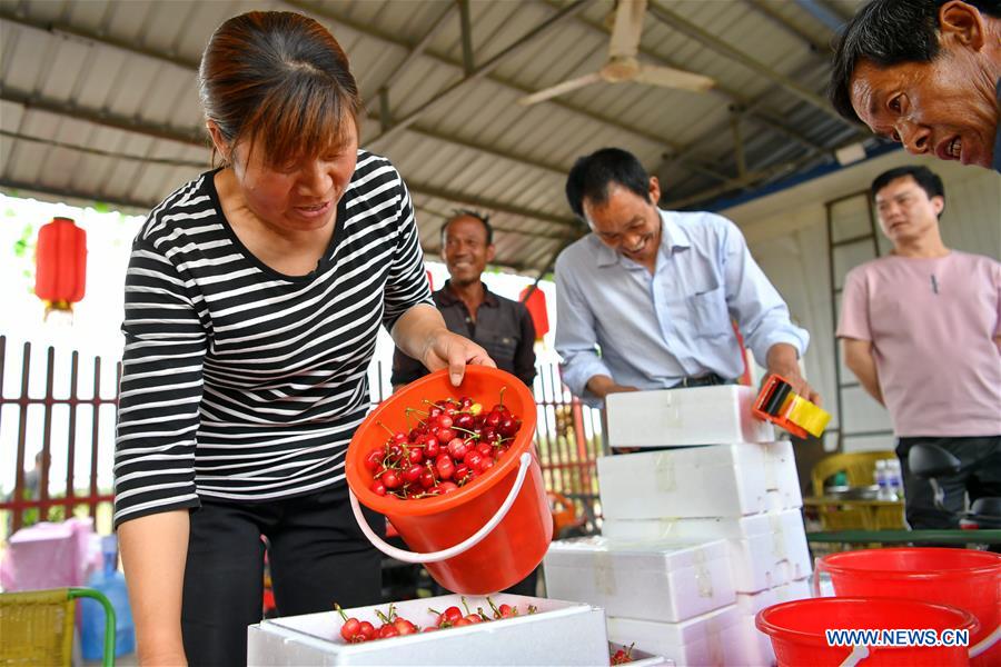 CHINA-SHANXI-WANRONG-CHERRY (CN)