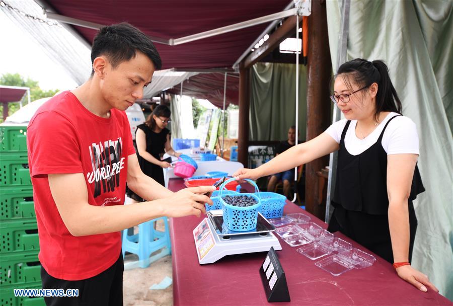 CHINA-CHONGQING-BLUEBERRY INDUSTRY-RURAL DEVELOPMENT (CN)