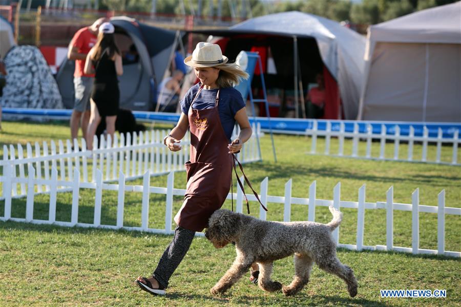 CROATIA-SPLIT-SUMMER NIGHT DOG SHOWS