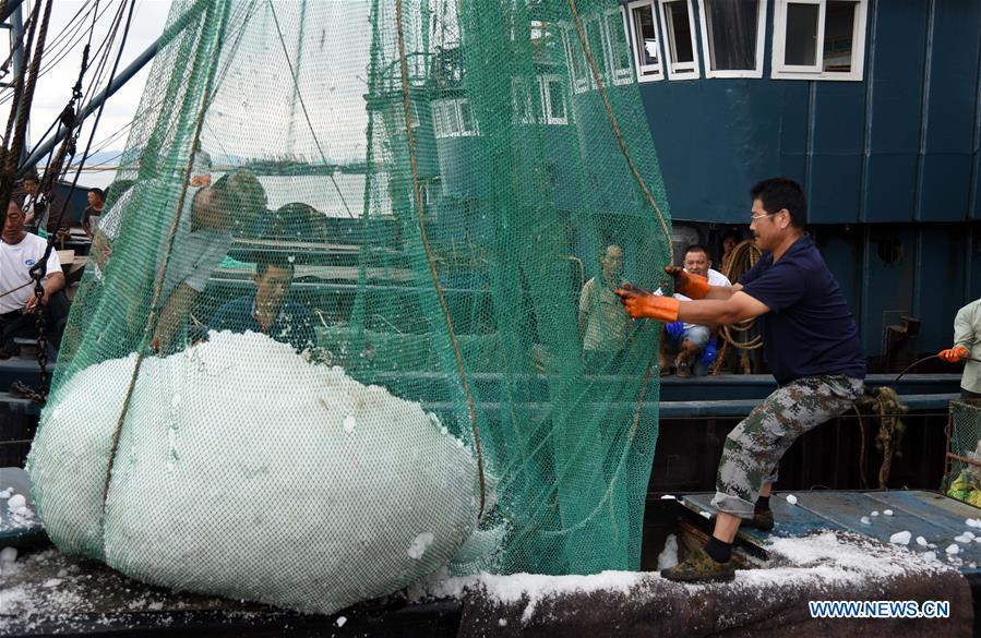 CHINA-SHANDONG-RIZHAO-FISHING SEASON (CN)