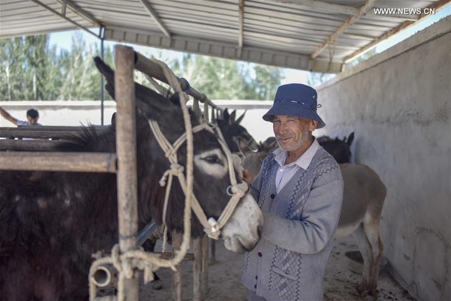 CHINA-XINJIANG-POVERTY ALLEVIATION (CN)