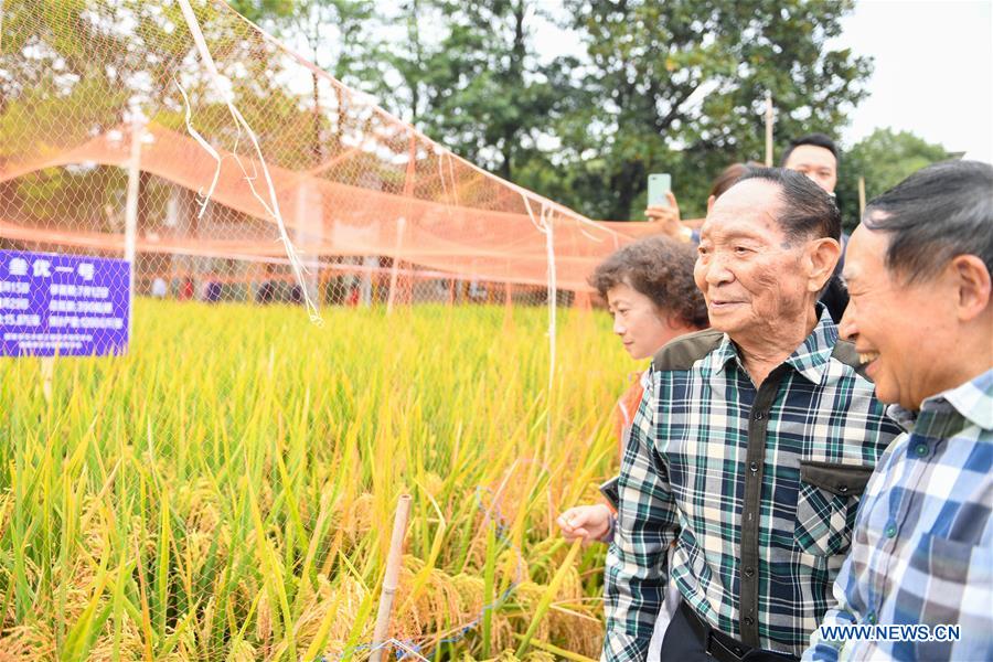 (Eyesonsci)CHINA-HUNAN-THIRD-GENERATION-HYBRID RICE (CN)