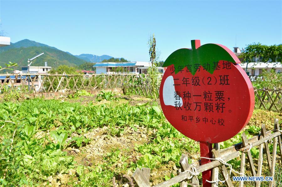 CHINA-GUANGXI-SANJIANG-RURAL EDUCATION DEVELOPMENT (CN)