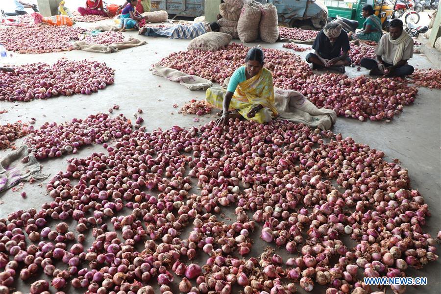 INDIA-BANGALORE-ONION PRICE-INCREASE