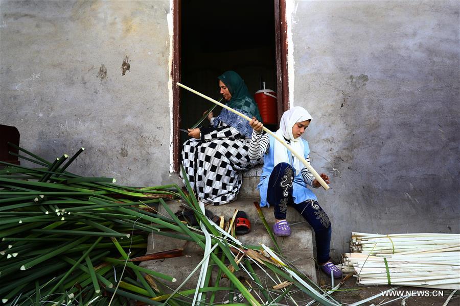 EGYPT-SHARQIYA-PAPYRUS MAKING