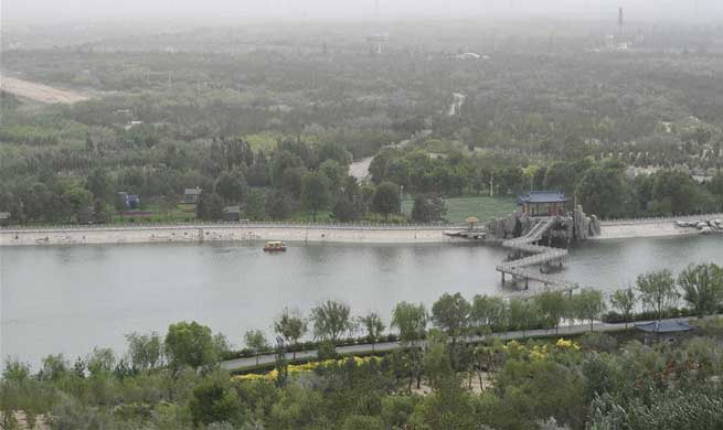 Strong wind, dust hit NW China's Ningxia