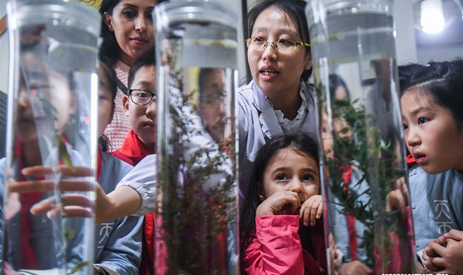 Primary students learn traditional Chinese medicine in Zhejiang, China