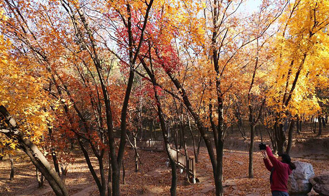 Scenery across China on traditional solar term "First Frost"