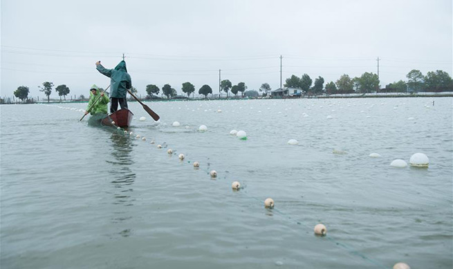 In pics: pearl industry in Zhuji of east China's Zhejiang