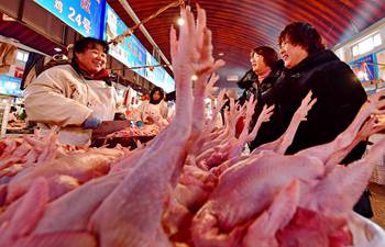 Market in N China embraces brisk trade before spring festival