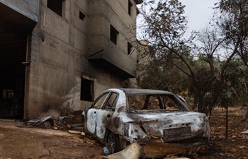 Wildfires break out at several locations across Israel