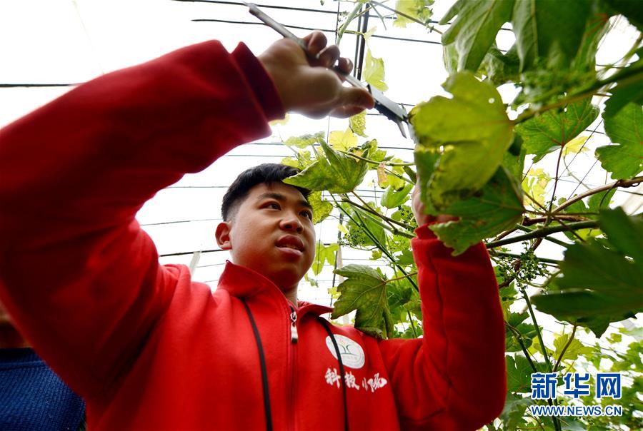 （爱国情 奋斗者·图文互动）（8） “解民生之多艰，育天下之英才”——中国农大师生扎根田野书写奉献之歌