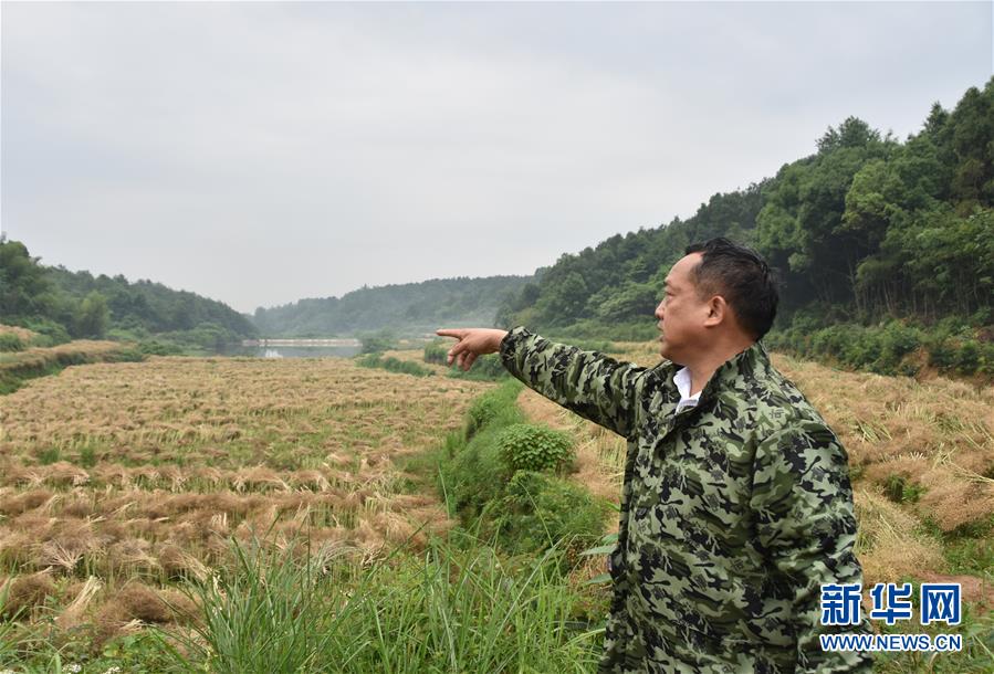 （代表委员履职·图文互动）（2）“我是农民代表，始终关注农村”——全国人大代表沈昌健的履职故事