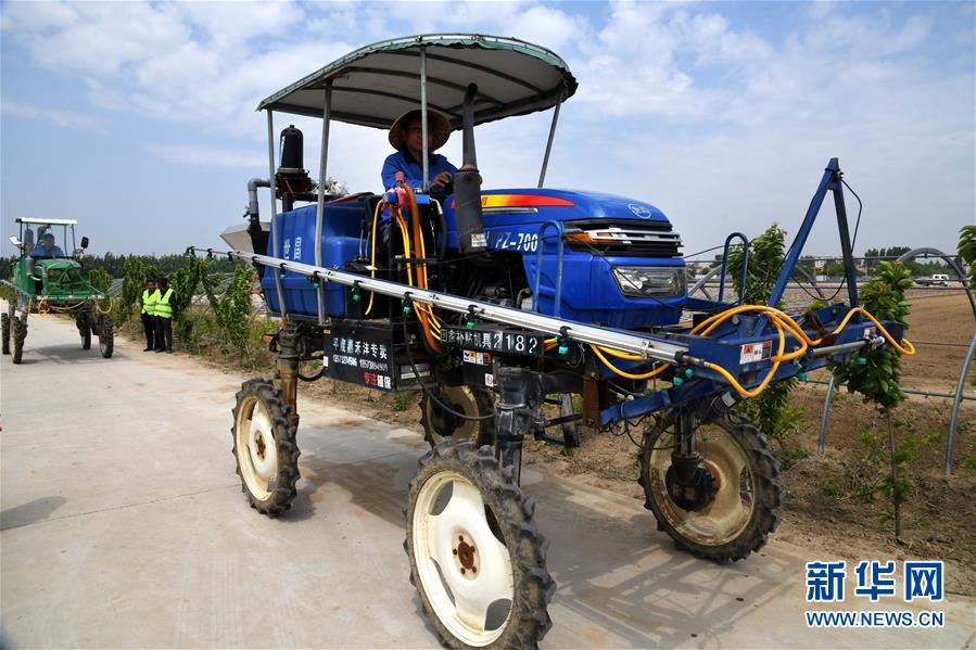 （在习近平新时代中国特色社会主义思想指引下——新时代新作为新篇章·习近平总书记关切事·图文互动）（8）新农事、新希望——夏收前田间新动态扫描